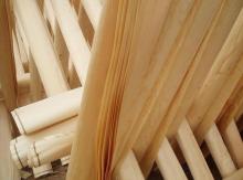 Radiata Pine Wood Veneers for Plywood Veneers