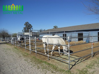 High Quality Hot Sale Galvanized Cattle Horse Fence