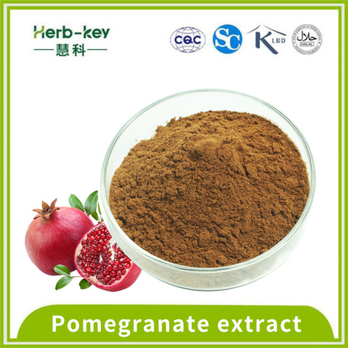 Containing pomegranate polyphenol Pomegranate extract powder