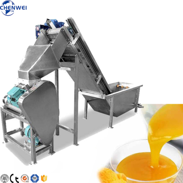Fruit Juice Production Line: Concentrated Mango Juice Production Line