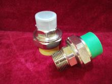 Household PPR Fitting Union
