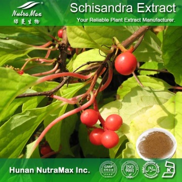 Schisandra Chinensis Extract Schisandrins 2%-9%