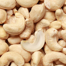 Vietnam cashew nut kernel