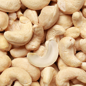 Vietnam cashew nut kernel