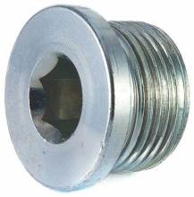 DIN908 Hexagon Socket Oil Pipe Plugs & Screw Plugs