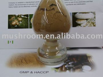 trametes versicolor extract