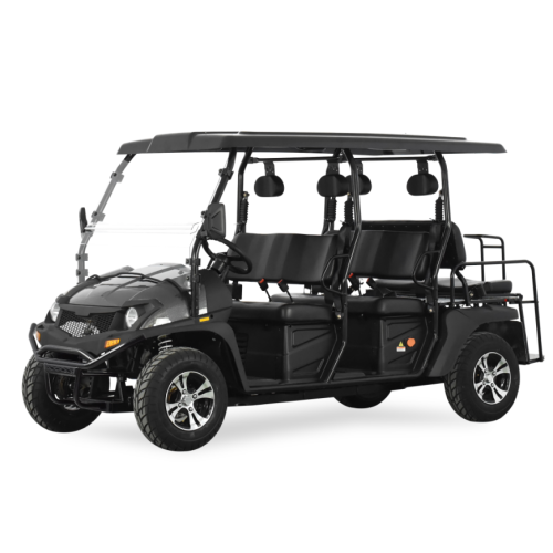 Electric UTV con EEC 5KW Electric UTV