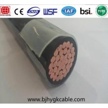 RHH/RHW-2/USE-2 Building Wire 600 V Cu/XLPE