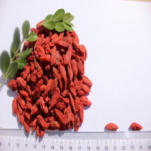 Dinh dưỡng cao Healthy wolfberry