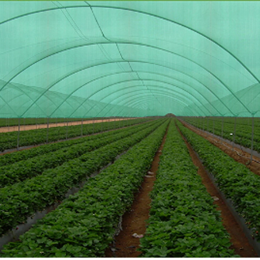 100% HDPE Green Agricultural Construction Shading Mesh Sun Shade Netting