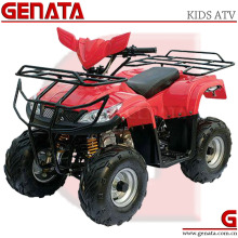 50cc/70cc/90cc/110cc Kids ATV/ Quad Bike Eagle (ATV-3 Series)
