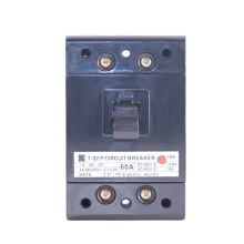 MCCB Search: 2P to 100A Moulded Case Circuit Breakers
