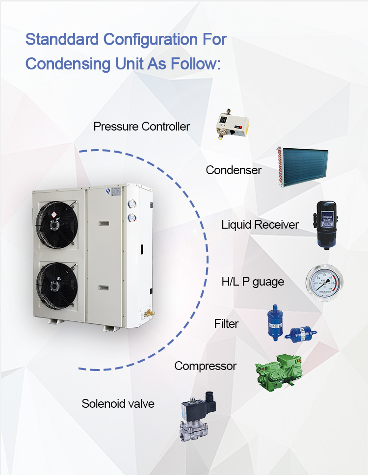 Outdoor Refrigeration r407c air cooled frozen condensing unit for food storage