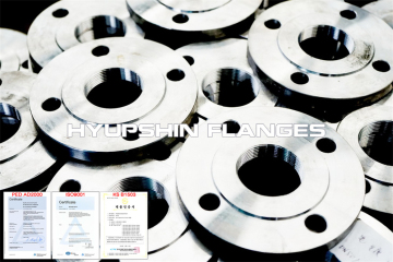 Pipe Tube Flanges Carbon Steel Forging Forged