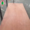 Okoume veneer plywood pine shutter ply 18mm