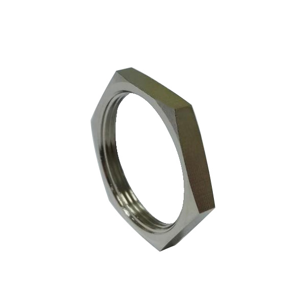 Custom Stainless Steel Hex Lock Nut