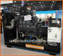 Deutz 1015 Series Gas Generator Set 250kva