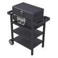 2 Burner Gas Grill BBQ مع عربة قابلة للإزالة