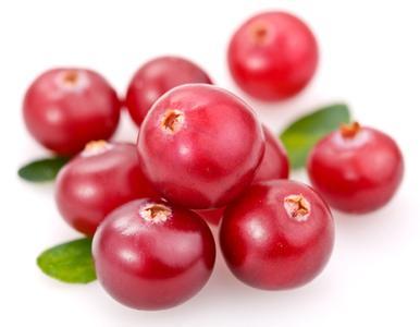 High quality and hot sale frozen lingonberry