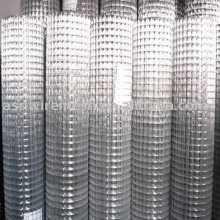 1/2inch Square wire mesh