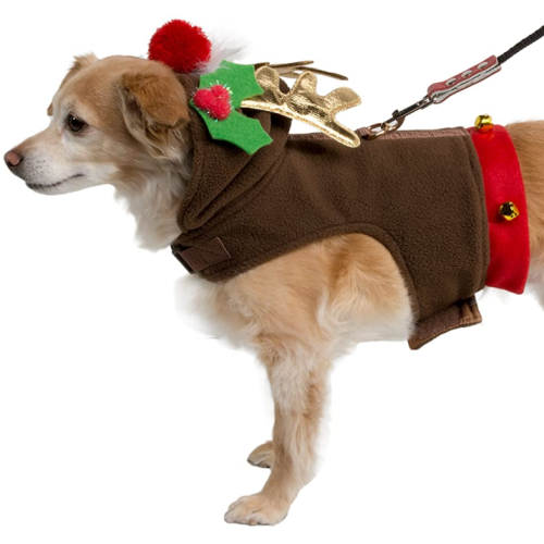 Vêtements de Noël pour chien de compagnie