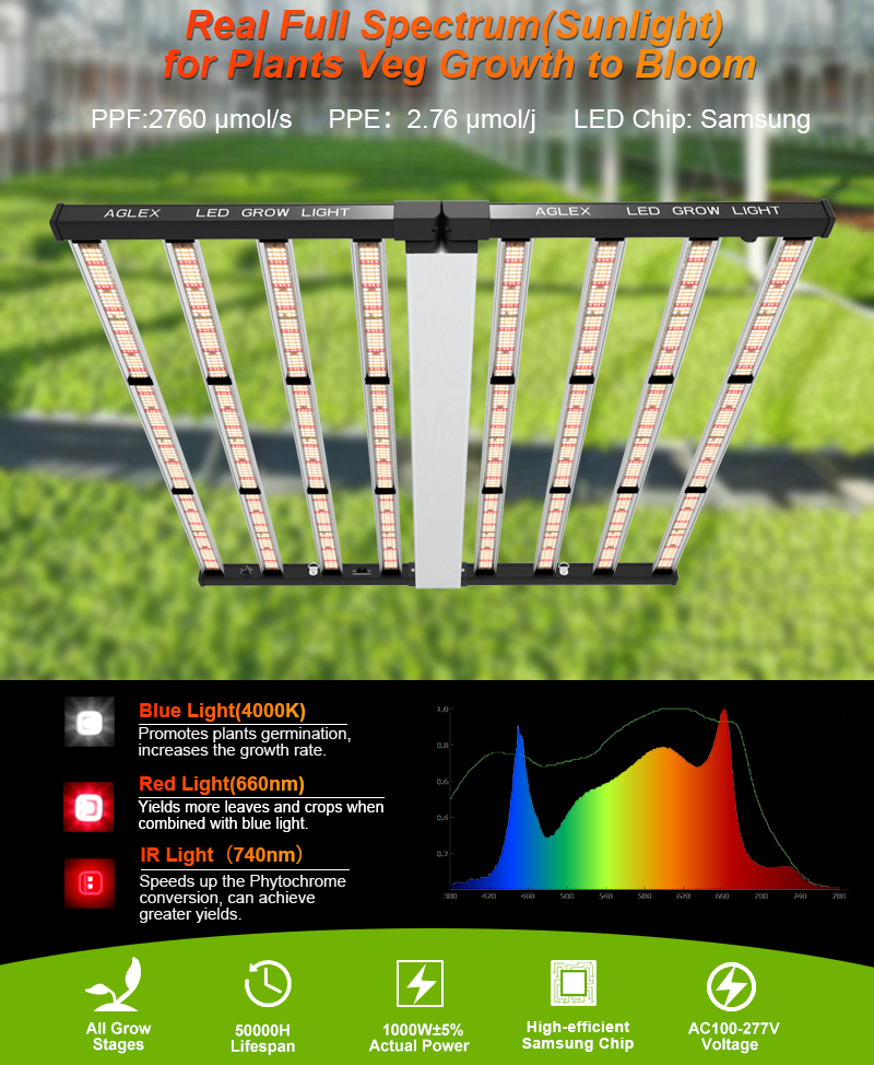 LED 원예 낙하 배송은 빛을 발성합니다