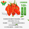 la baie de goji wolfberry heet in saling