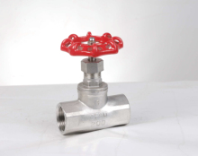 Screwed Globe Valve NPT