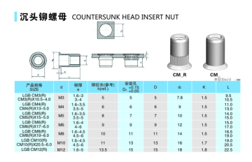 Countersunk Head Rivet Nut