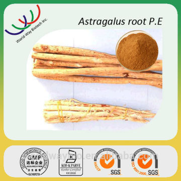 Astragalus extract free sample Chinese herb medicine enhance immunity astragalus extract astragaloside 0.3%~98%