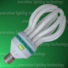 Lotus  Energy-Saving Bulb for indoor use