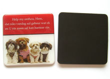 Customized Unique Magnetic Epoxy Magnets, Teaching Supplies, Children's Toys, Memo Holder
