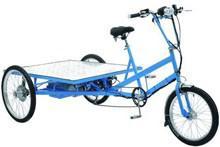 pedal flatbed trike