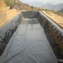 Non-Toxicity and Tasteless 0.5mm HDPE Pond Liner