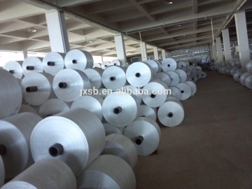 China pp woven sack roll plant