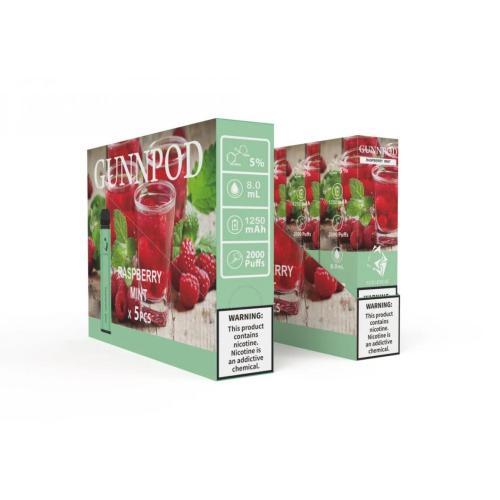 Gunnpod 과일 맛 담배 전자 담배