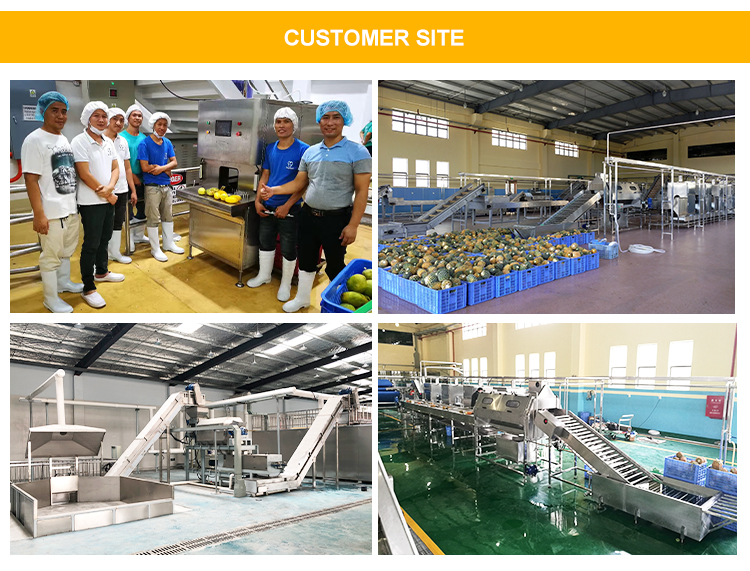 Mango Peeling Machine Fruit Pulp Processing Machinery Fruit Jam Machinery