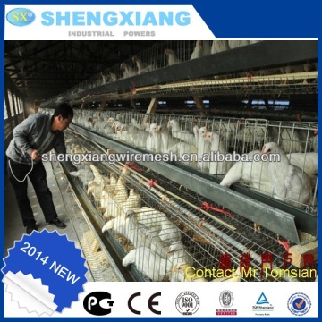 chicken layer cage price / used chicken cages for sale