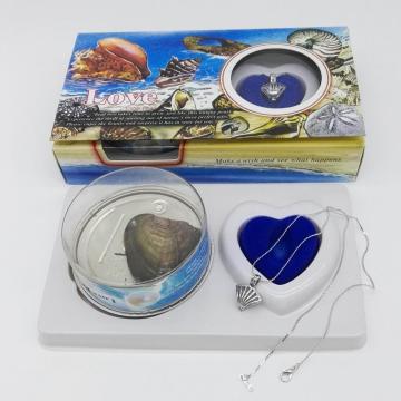 Freshwater Pearl Gift Set With Neckalce And Shell
