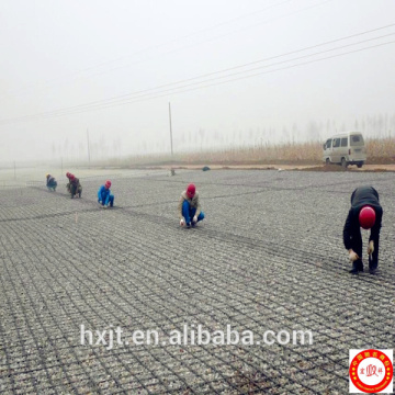 PP Interlock Biaxial Geogrids for paving Extruded Biaxial Geogrids