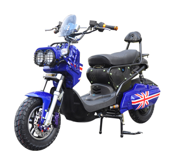 A unique retro look Bumper protection electric scooter