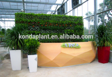 2015 looking natural plastic artificial green plant hanging wall fake plant wall artificial grass wall