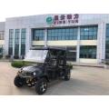 5kw Electric UTV mit EWG-Jeep-Stil