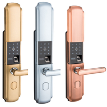 EVDTF5227 smart home door lock