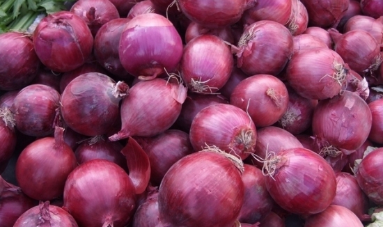 Fresh Red Onion