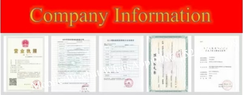 Company Information Company Information