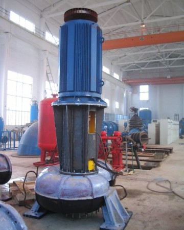 WL Vertical Sewage Pumps