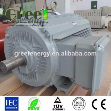 PMG! 10kw low rpm wind generator motor for sale, wind generator, high efficiency