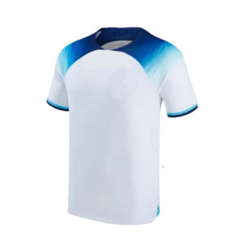 Bulk Cheep Wholesale Plain Player Version Soccer Jersey