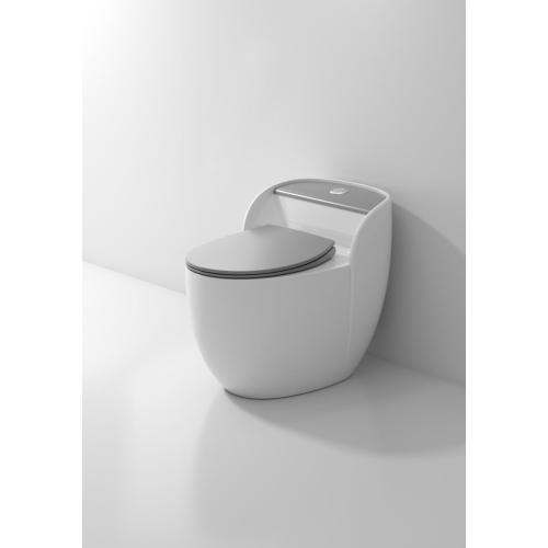 Hotel Luxury One Piece Siphonic Toilet Factory Factory Price